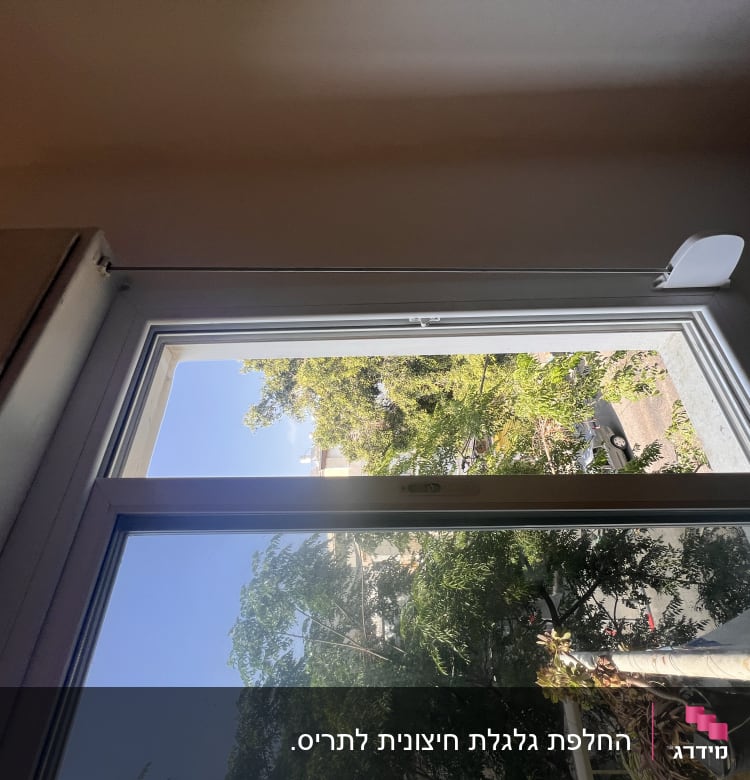 חלון עם תריסים פתוחים, נוף עצים בחוץ